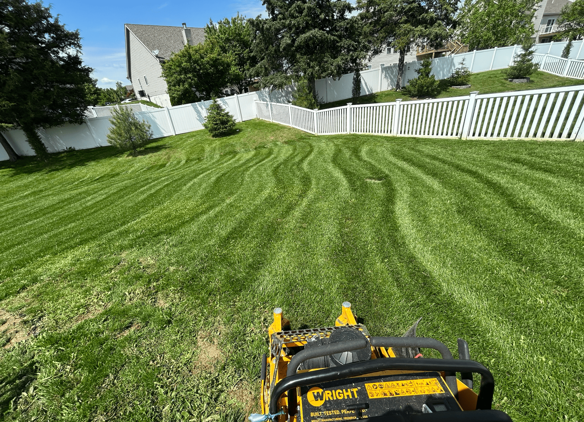 Freshly mowed lawn with crisp striped mowing pattern