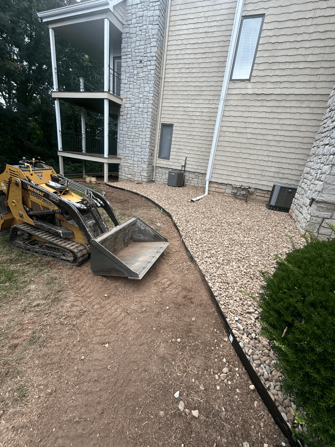 Evergreen landscape bed refresh with healthy shrubs